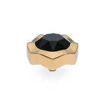 COMING SOON! Top NEMOLI 13mm GOLD