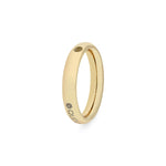 Argolla Basic Dorado