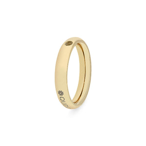 Argolla Basic Dorado
